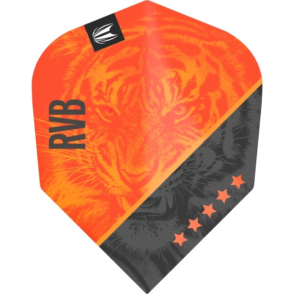 Target Flights RAYMOND VAN BARNEVELD PRO.ULTRA G4